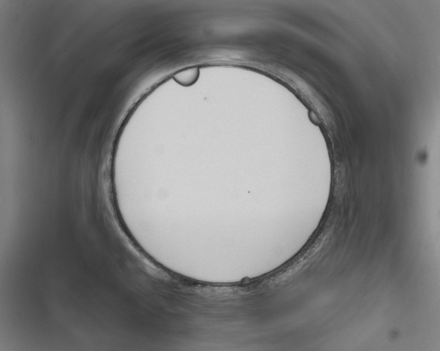 X0000116851432201001191631