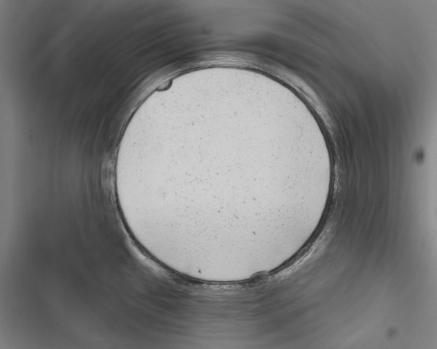 X0000116851433201001191631