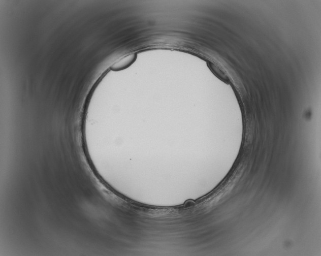 X0000116851434201001191631