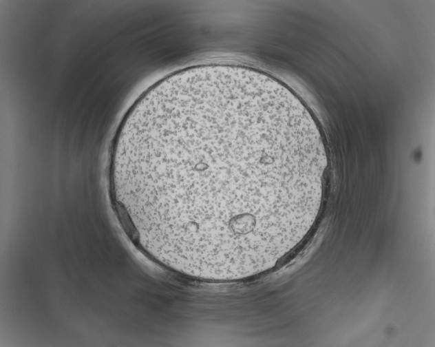 X0000116851438201001191631
