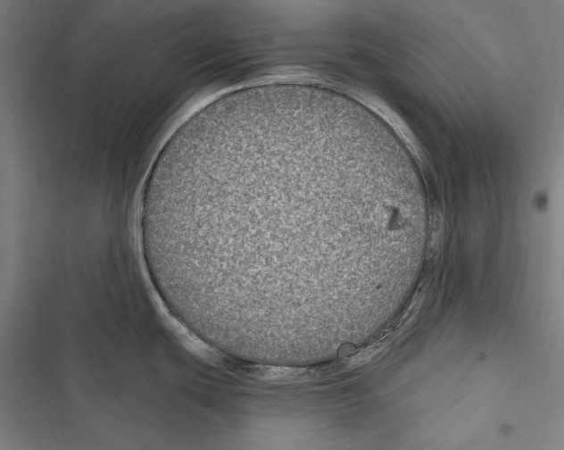 X0000116851439201001191631