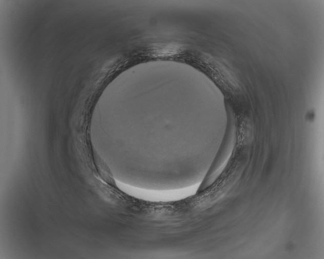 X0000116851441201001191630