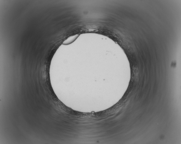 X0000116851442201001191630