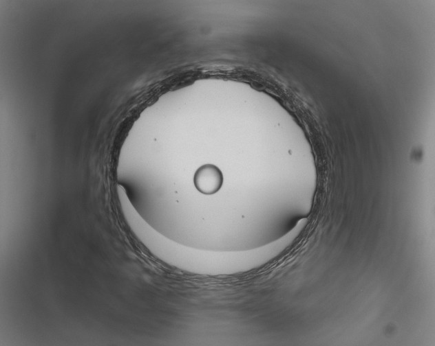 X0000116851445201001191630