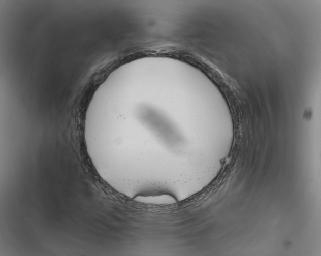 X0000116851447201001191630
