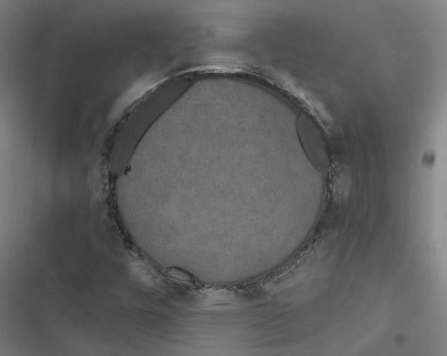 X0000116851448201001191630