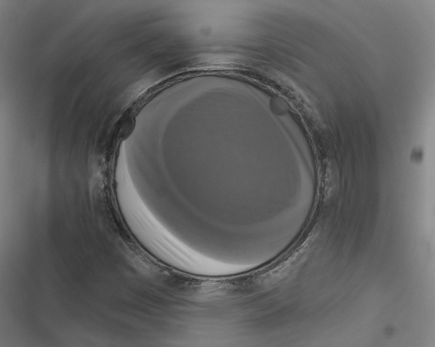 X0000116851449201001191630