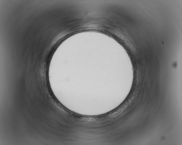 X0000116851450201001191630