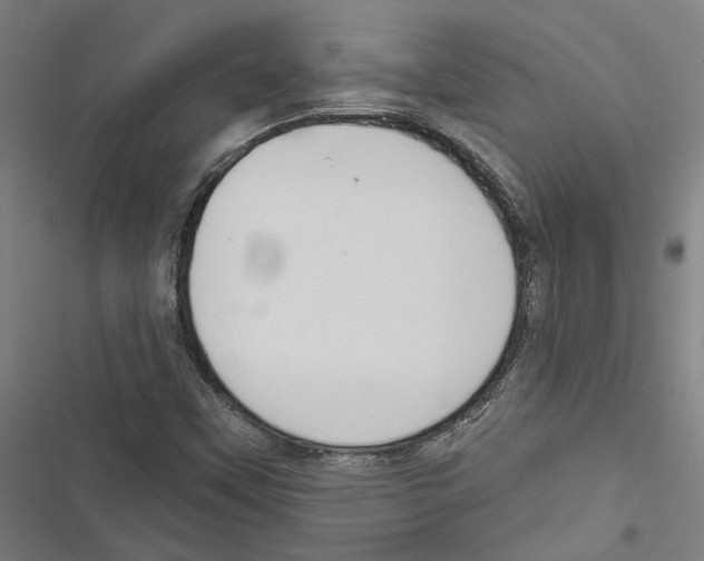 X0000116851451201001191630