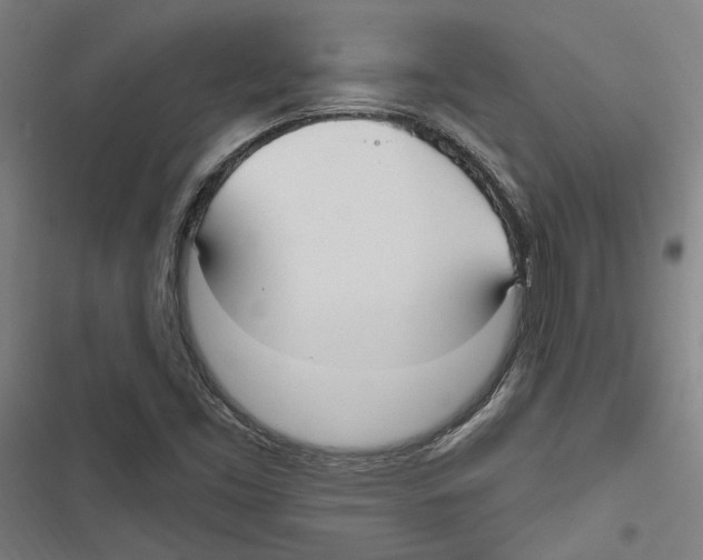 X0000116851453201001191630