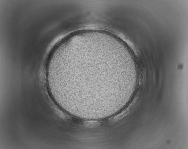 X0000116851454201001191630