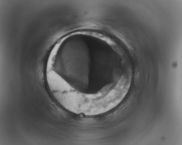X0000116851455201001191630