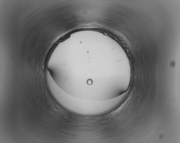 X0000116851457201001191630