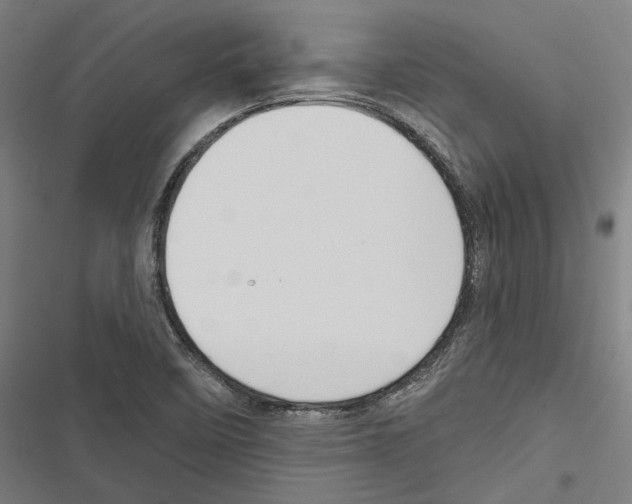 X0000116851458201001191630