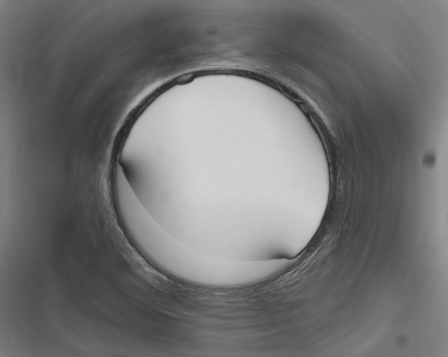 X0000116851460201001191630