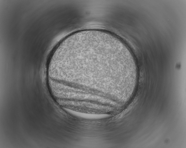 X0000116851461201001191630