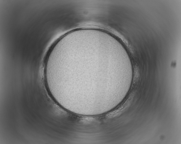 X0000116851462201001191630