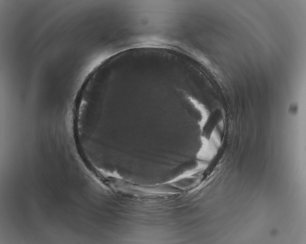 X0000116851463201001191630
