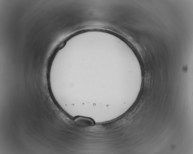 X0000116851464201001191630