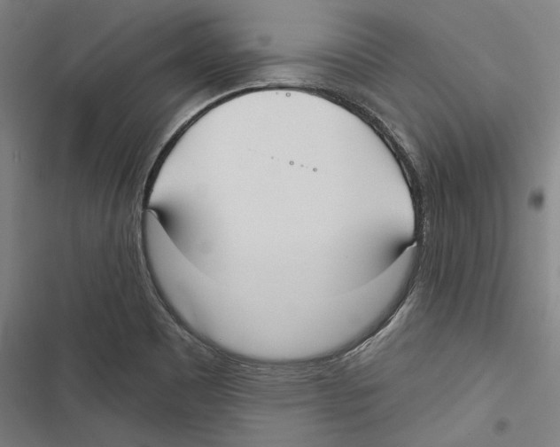 X0000116851465201001191630