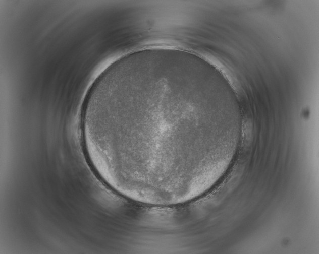 X0000116851466201001191630