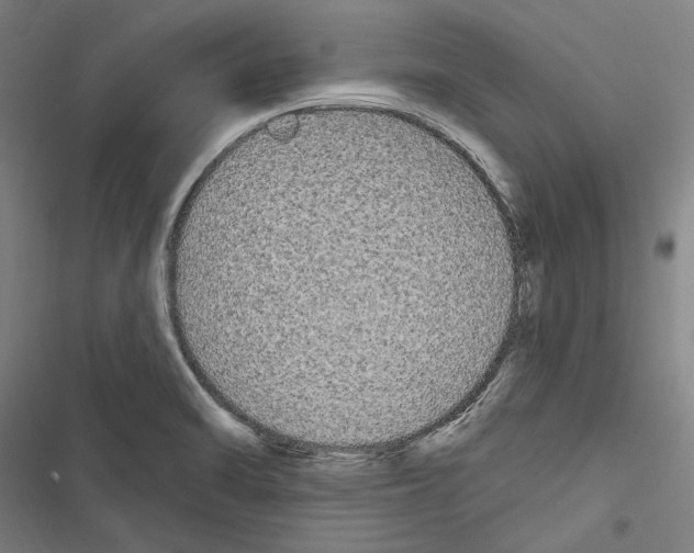 X0000116851470201001191630