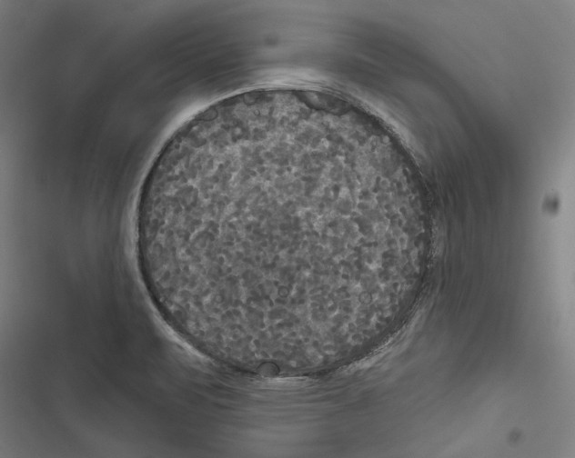 X0000116851471201001191630