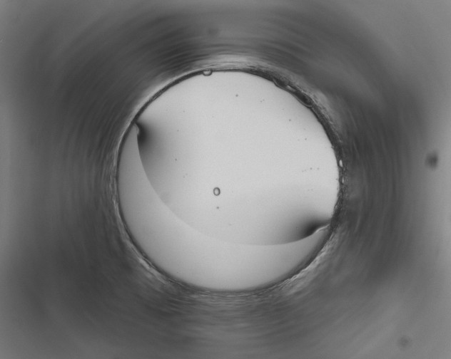 X0000116851473201001191630