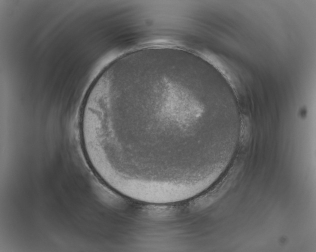 X0000116851474201001191630