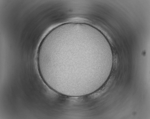 X0000116851478201001191630