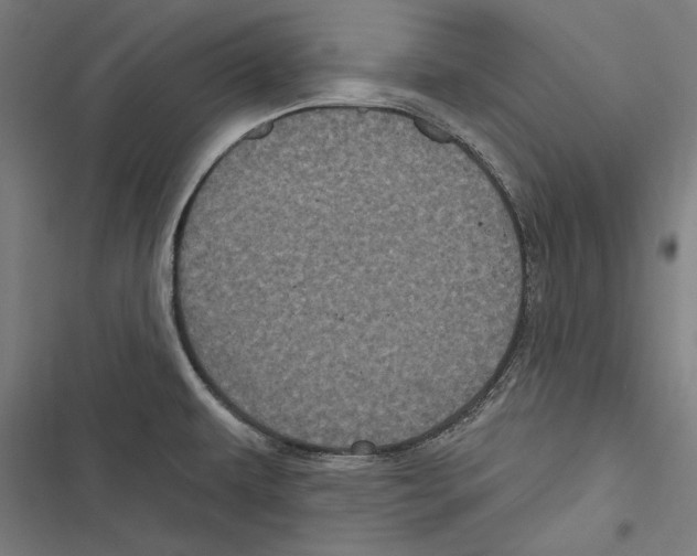 X0000116851479201001191630