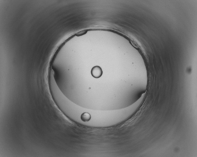 X0000116851480201001191630