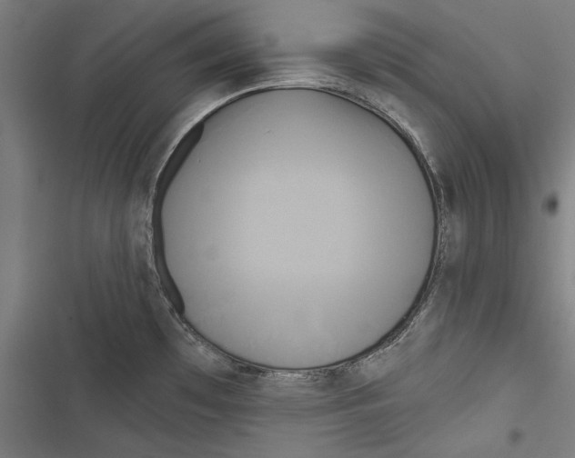X0000116851481201001191630