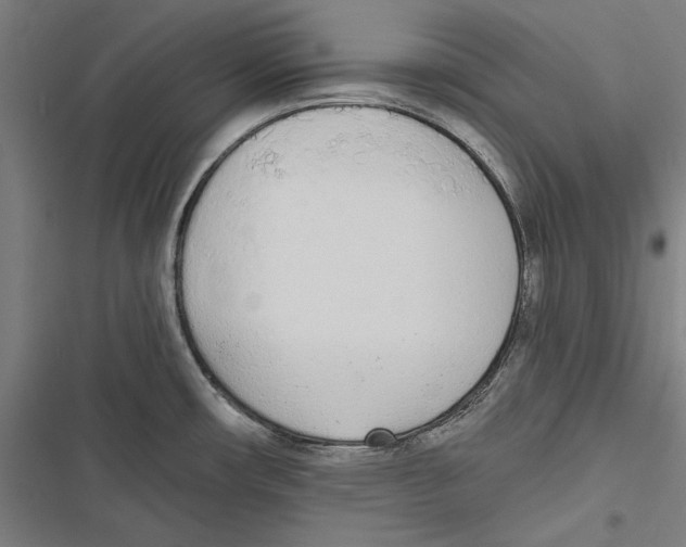 X0000116851482201001191630