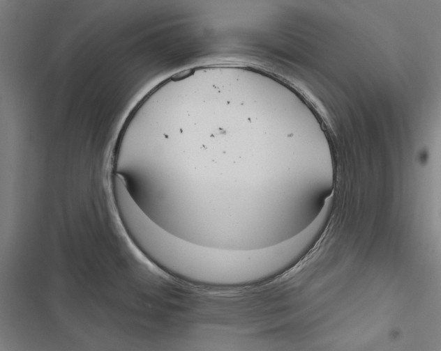 X0000116851484201001191630