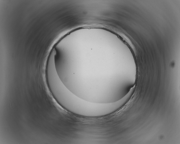 X0000116851485201001191630