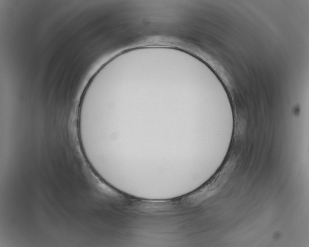 X0000116851486201001191630