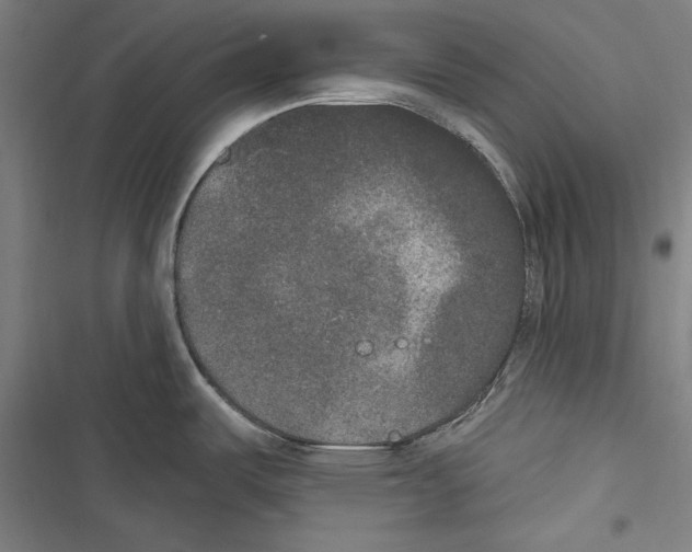 X0000116851487201001191630