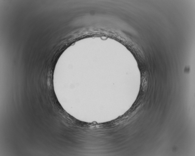 X0000116851490201001191629