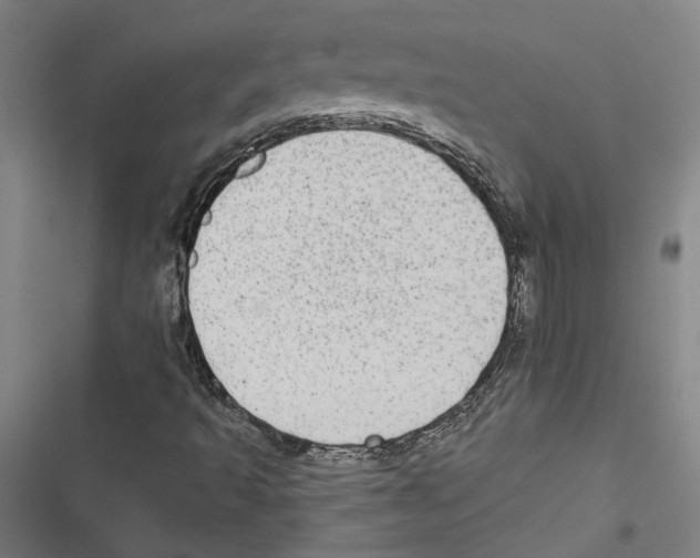 X0000116851493201001191629