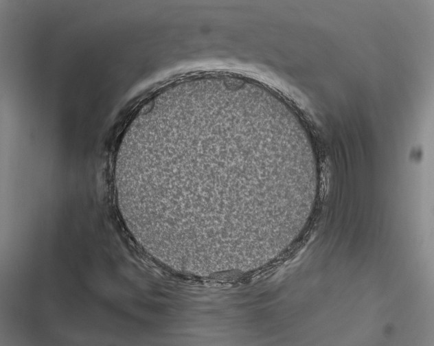 X0000116851494201001191629