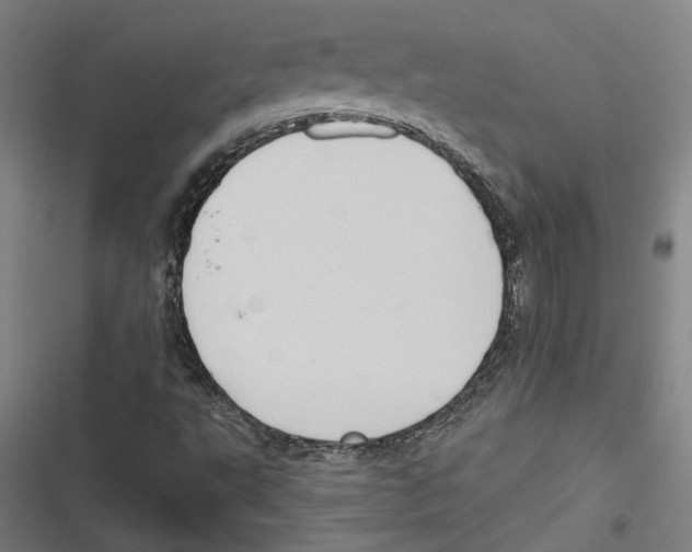X0000116851495201001191629