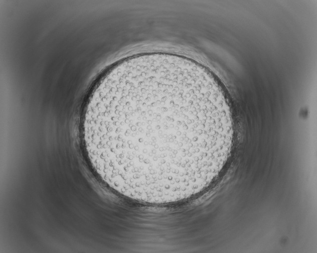 X0000116851499201001191629