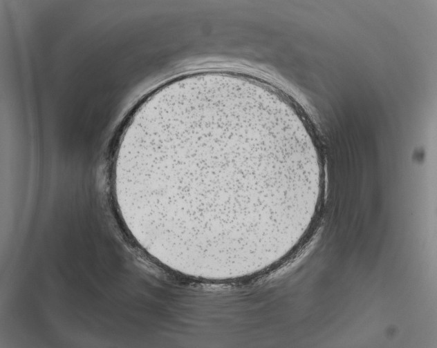 X0000116851501201001191629