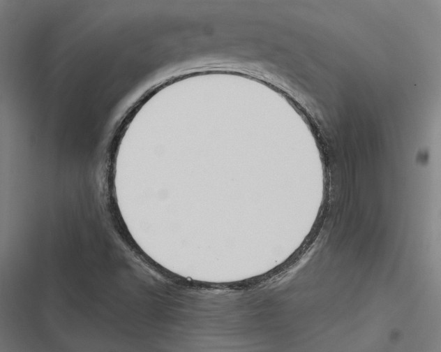 X0000116851502201001191629