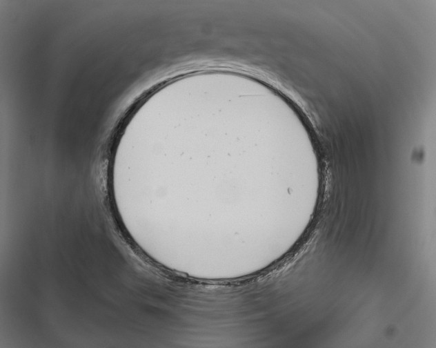 X0000116851503201001191629