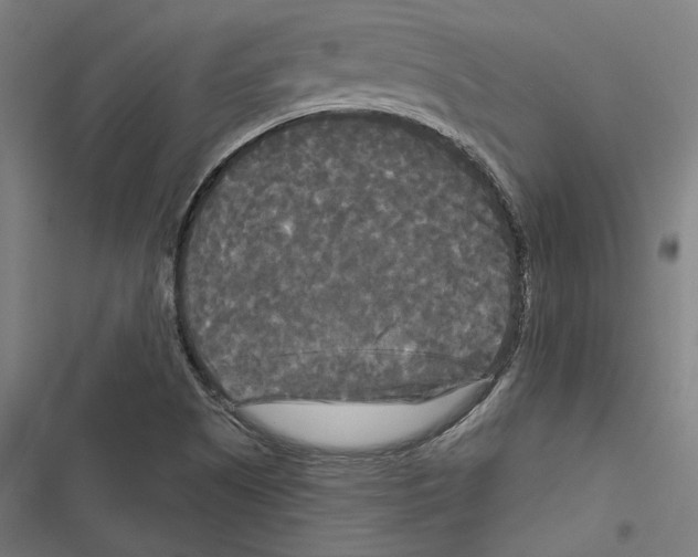 X0000116851505201001191629