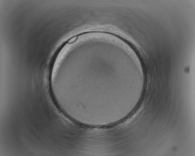 X0000116851506201001191629
