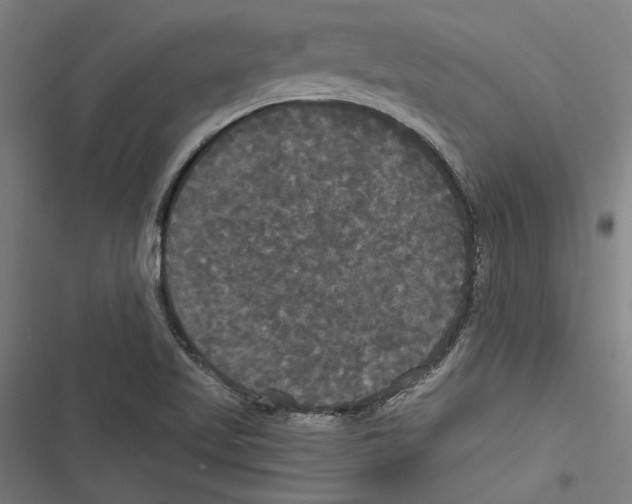 X0000116851509201001191629