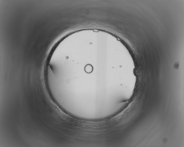 X0000116851510201001191629